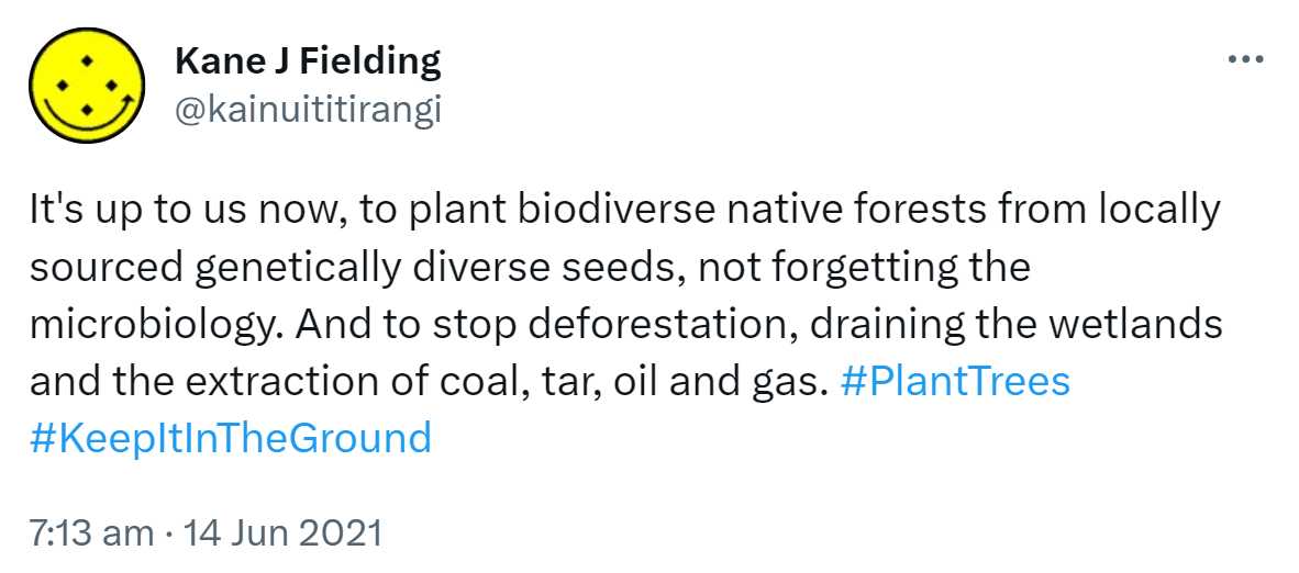 It's up to us now, to plant biodiverse native forests from locally sourced genetically diverse seeds, not forgetting the microbiology. And to stop deforestation, draining the wetlands and the extraction of coal, tar, oil and gas. Hashtag Plant Trees. Hashtag Keep It In The Ground. 7:13 am · 14 Jun 2021.