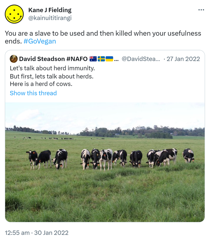 You are a slave to be used and then killed when your usefulness ends. Hashtag Go Vegan. Quote Tweet. David Steadson @DavidSteadson. Let's talk about herd immunity. But first, let's talk about herds. Here is a herd of cows. 12:55 am · 30 Jan 2022.