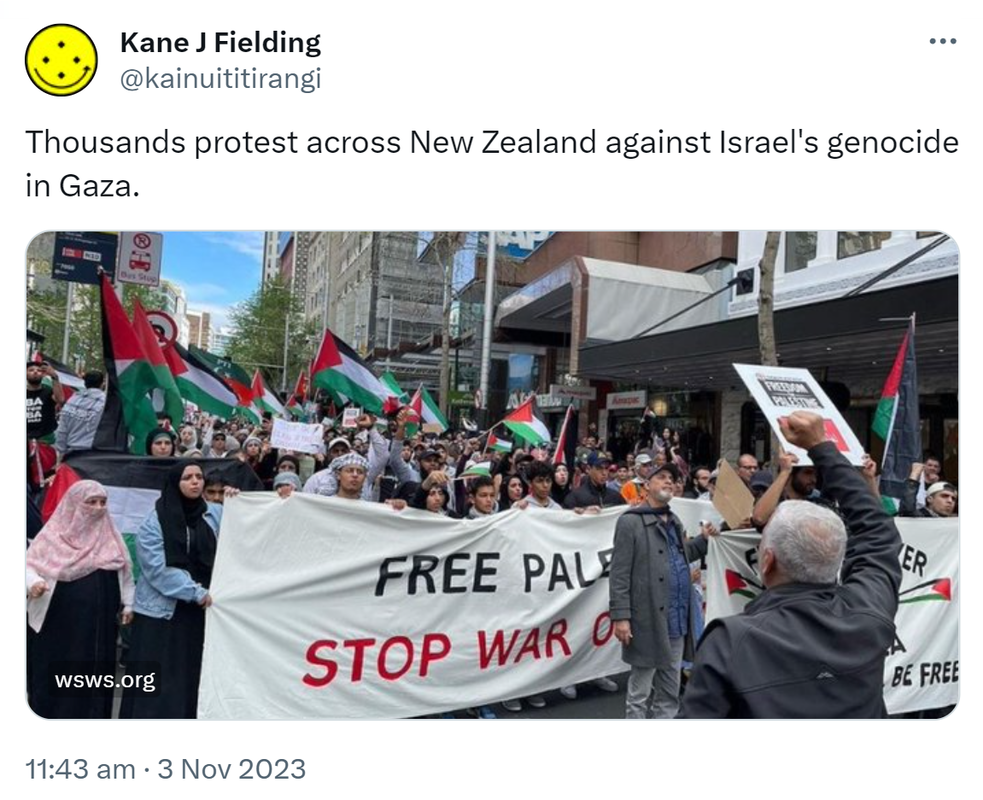 Thousands protest across New Zealand against Israel's genocide in Gaza. wsws.org. 11:43 am · 3 Nov 2023.