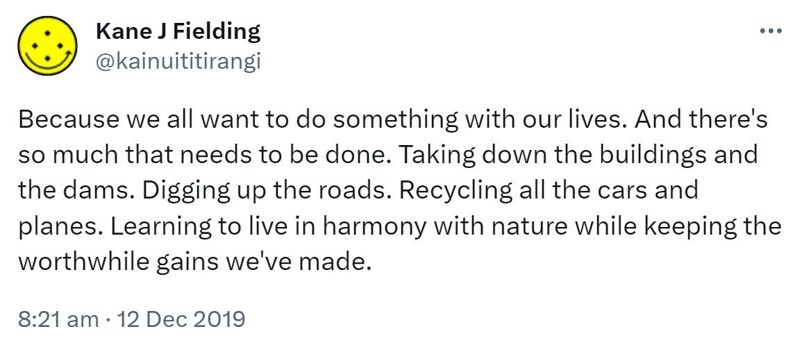 Because we all want to do something with our lives. And there's so much that needs to be done. Taking down the buildings and the dams. Digging up the roads. Recycling all the cars and planes. Learning to live in harmony with nature while keeping the worthwhile gains we've made. 8:21 am · 12 Dec 2019.