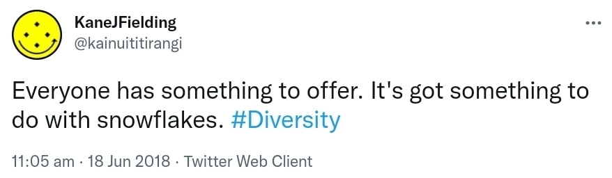 Everyone has something to offer. It's got something to do with snowflakes. Hashtag Diversity. 11:05 am · 18 Jun 2018.