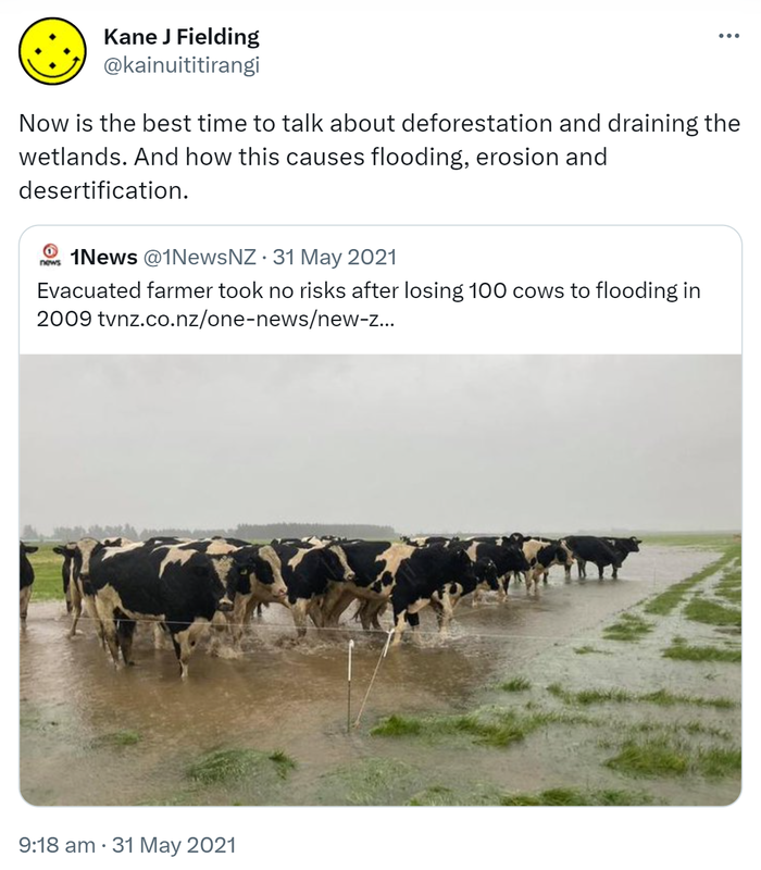 Now is the best time to talk about deforestation and draining the wetlands. And how this causes flooding, erosion and desertification. Quote Tweet. 1News @1NewsNZ. Evacuated farmer took no risks after losing 100 cows to flooding in 2009. tvnz.co.nz. 9:18 am · 31 May 2021.