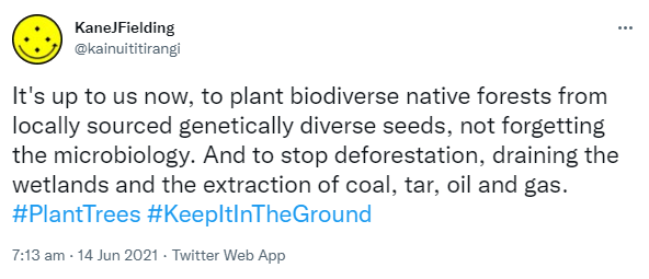 It's up to us now, to plant biodiverse native forests from locally sourced genetically diverse seeds, not forgetting the microbiology. And to stop deforestation, draining the wetlands and the extraction of coal, tar, oil and gas. Hashtag Plant Trees. Hashtag Keep It In The Ground. 7:13 am · 14 Jun 2021.