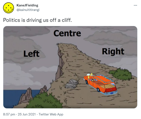 Meme. Politics is driving us off a cliff. Left, right and centre. 8:57 pm · 25 Jun 2021.
