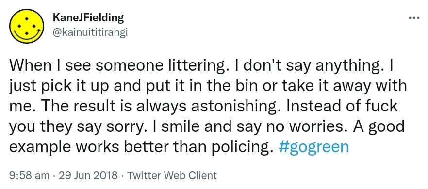 When I see someone littering. I don't say anything. I just pick it up and put it in the bin or take it away with me. The result is always astonishing. Instead of fuck you they say sorry. I smile and say no worries. A good example works better than policing. Hashtag go green. 9:58 am · 29 Jun 2018.