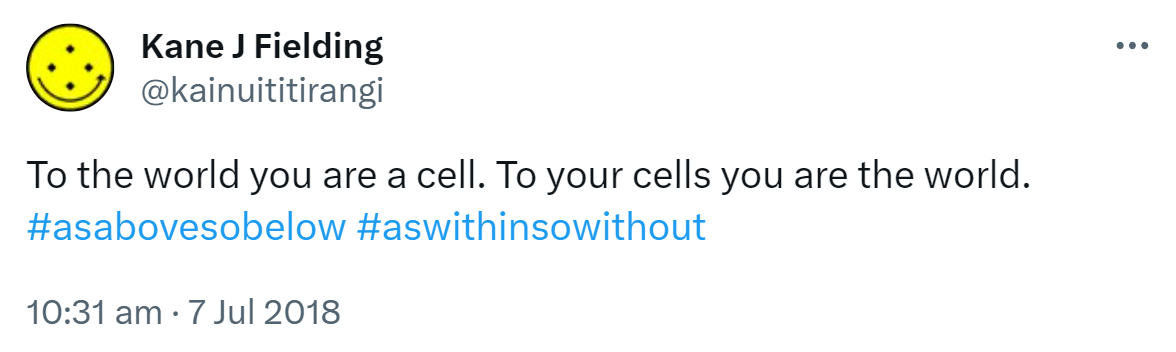To the world you are a cell. To your cells you are the world. Hashtag As Above So Below. Hashtag As Within So Without. 10:31 am · 7 Jul 2018.