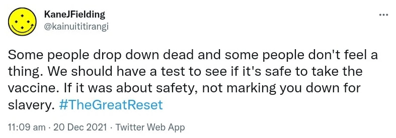 Some people drop down dead and some people don't feel a thing. We should have a test to see if it's safe to take the vaccine. If it was about safety, not marking you down for slavery. Hashtag The Great Reset. 11:09 am · 20 Dec 2021.