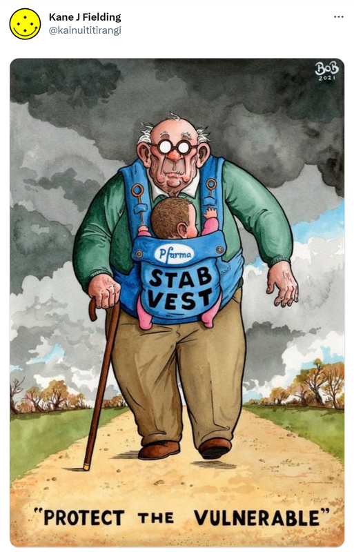 Meme of an old man with a baby in a baby carrying vest that has, stab vest. Protect the Vulnerable, written on it.