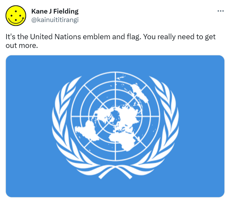 It's the United Nations emblem and flag. You really need to get out more.