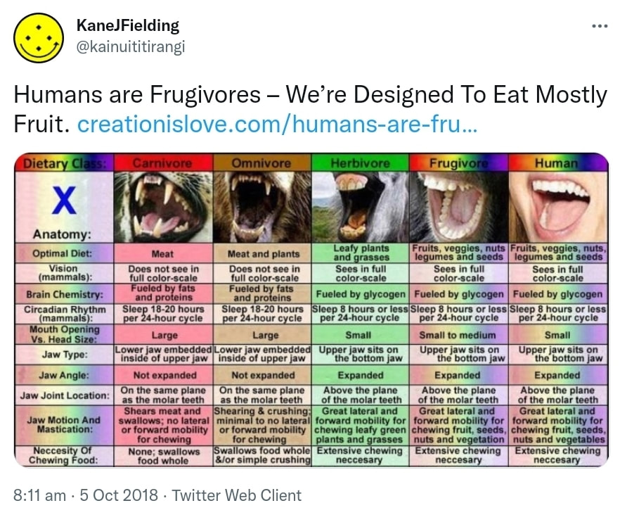 Humans are Frugivores. We’re Designed To Eat Mostly Fruit. Creationislove.com. 8:11 am · 5 Oct 2018.