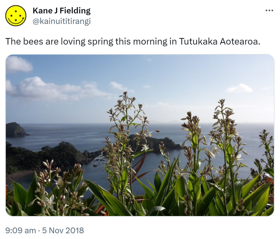 The bees are loving spring this morning in Tutukaka Aotearoa. 9:09 am · 5 Nov 2018.