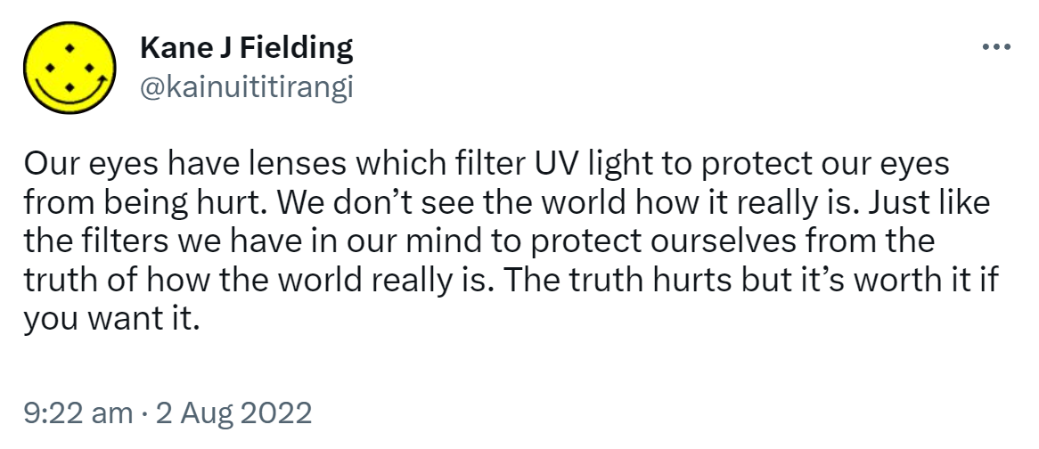 Our eyes have lenses which filter UV light to protect our eyes from being hurt. We don’t see the world how it really is. Just like the filters we have in our mind to protect ourselves from the truth of how the world really is. The truth hurts but it’s worth it if you want it. 9:22 am · 2 Aug 2022.