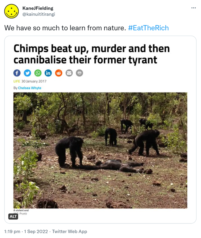 We have so much to learn from nature. Hashtag Eat The Rich. New Scientist. Chips beat up, murder and then cannibalise their former tyrant. 1:19 pm · 1 Sep 2022.