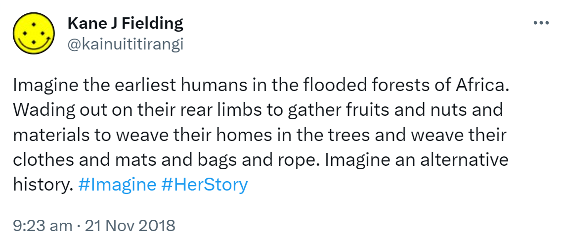 Imagine the earliest humans in the flooded forests of Africa. Wading out on their rear limbs to gather fruits and nuts and materials to weave their homes in the trees and weave their clothes and mats and bags and rope. Imagine an alternative history. Hashtag Imagine. Hashtag Her Story. 9:23 am · 21 Nov 2018.
