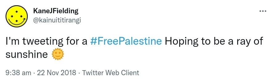 I'm tweeting for a Hashtag Free Palestine. Hoping to be a ray of sunshine. 9:38 am · 22 Nov 2018.