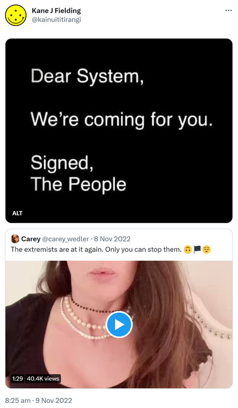 Dear System, We're coming for you. Signed, The People. Quote Tweet. Carey @carey_wedler. The extremists are at it again. Only you can stop them. 8:25 AM · Nov 9, 2022.