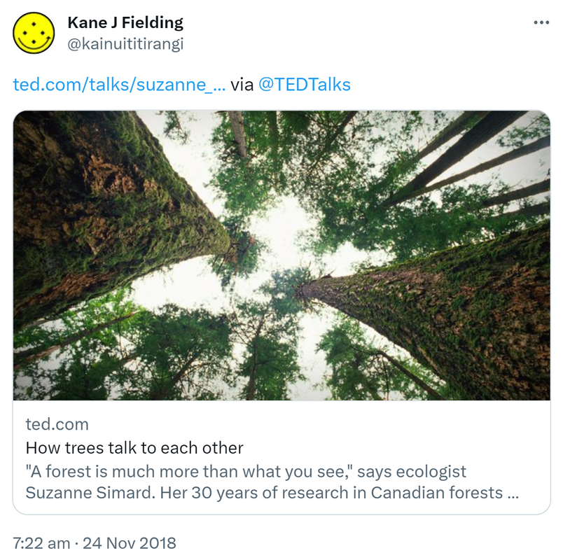 ted.com. via @TEDTalks. How trees talk to each other. A forest is much more than what you see, says ecologist Suzanne Simard. Her 30 years of research in Canadian forests have led to an astounding discovery, trees talk, often and over vast distances. 7:22 am · 24 Nov 2018.