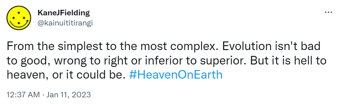 From the simplest to the most complex. Evolution isn't bad to good, wrong to right or inferior to superior. But it is hell to heaven, or it could be. Hashtag Heaven On Earth. 12:37 AM · Jan 11, 2023.