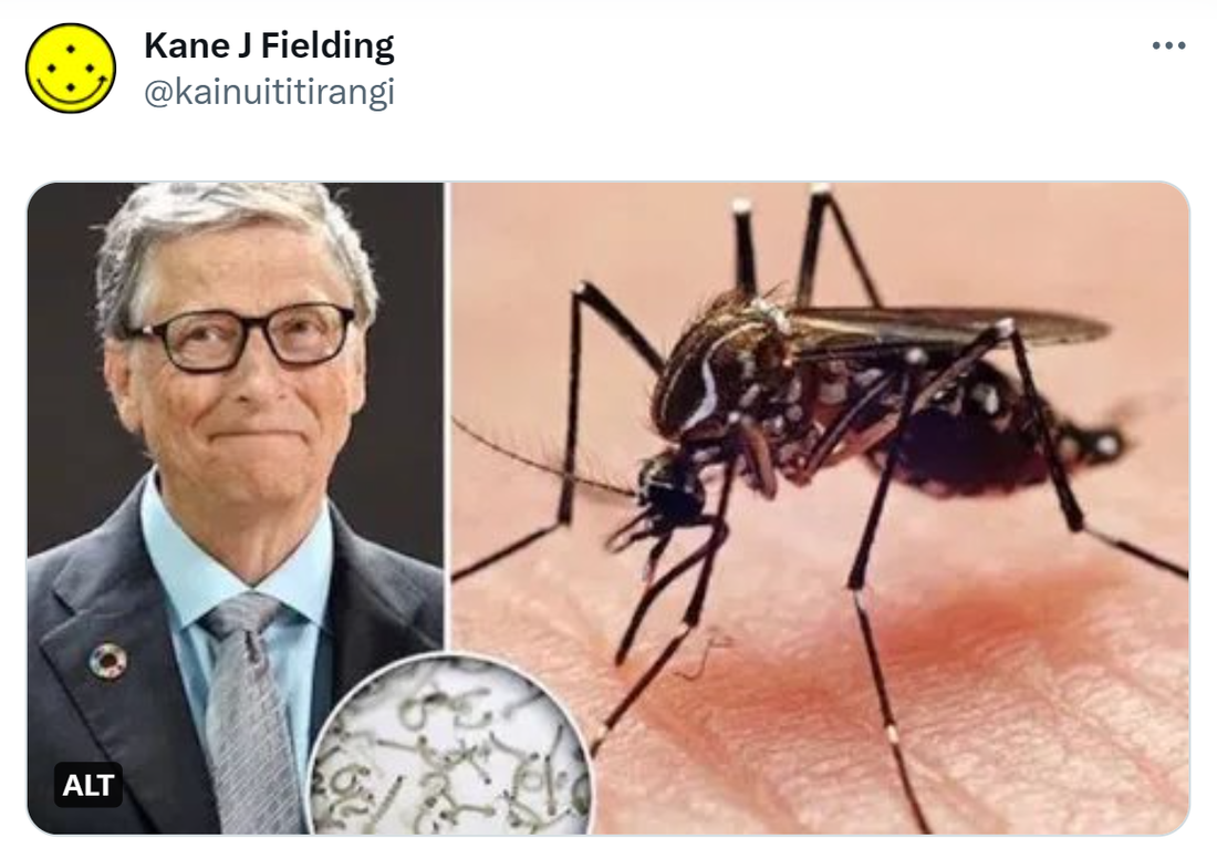 Bill Gates and a mosquito.