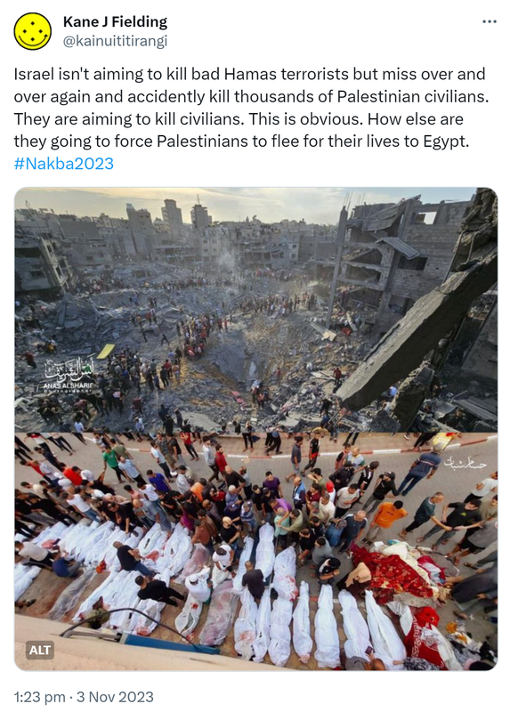 Israel isn't aiming to kill bad Hamas terrorists but miss over and over again and accidently kill thousands of Palestinian civilians. They are aiming to kill civilians. This is obvious. How else are they going to force Palestinians to flee for their lives to Egypt. Hashtag Nakba 2023. Above - A huge crater from American made bombs, delivered by Israel to Gaza. Below - Some of the Palestinians killed by the bombing. 1:23 pm · 3 Nov 2023.