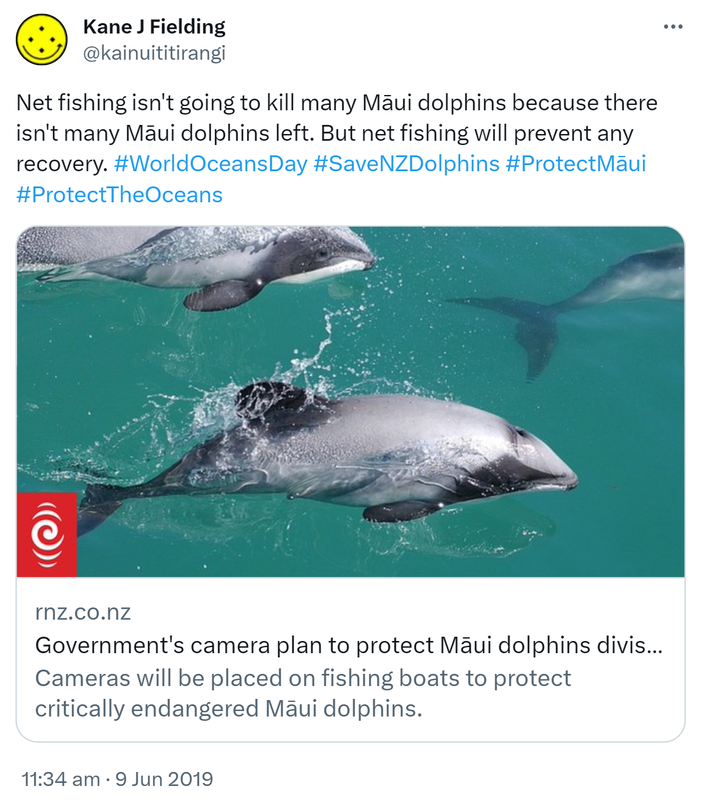 Net fishing isn't going to kill many Māui dolphins because there isn't many Māui dolphins left. But net fishing will prevent any recovery. Hashtag World Oceans Day. Hashtag Save NZ Dolphins. Hashtag Protect Māui. Hashtag Protect The Oceans. rnz.co.nz. Government's camera plan to protect Māui dolphins divisive among fisheries' stakeholders. Cameras will be placed on fishing boats to protect critically endangered Māui dolphins. 11:34 am · 9 Jun 2019.
