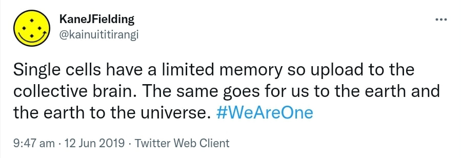 Single cells have a limited memory so upload to the collective brain. The same goes for us to the earth and the earth to the universe. Hashtag We Are One. 9:47 am · 12 Jun 2019.