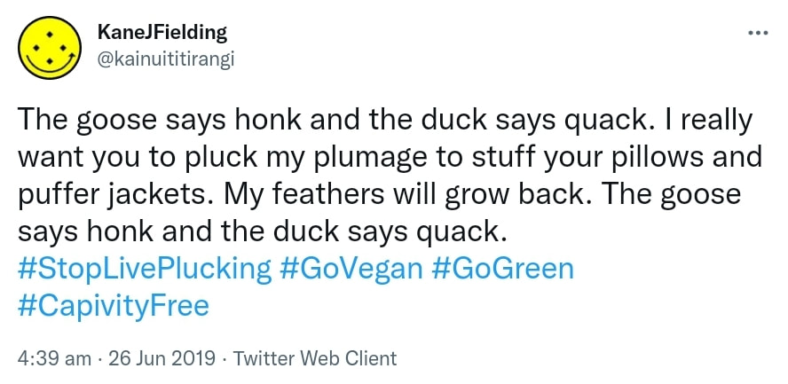 The goose says honk and the duck says quack. I really want you to pluck my plumage to stuff your pillows and puffer jackets. My feathers will grow back. The goose says honk and the duck says quack. Hashtag Stop Live Plucking. Hashtag Go Vegan. Hashtag Go Green. Hashtag Captivity Free. 4:39 am · 26 Jun 2019.