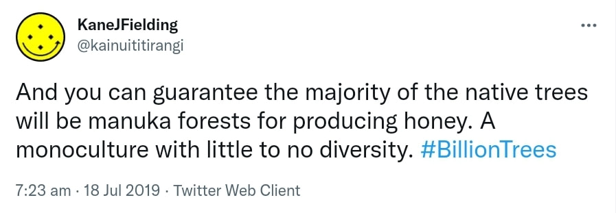 And you can guarantee the majority of the native trees will be manuka forests for producing honey. A monoculture with little to no diversity. Hashtag Billion Trees. 7:23 am · 18 Jul 2019.