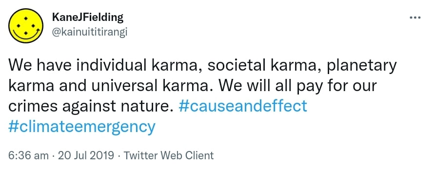 We have individual karma, societal karma, planetary karma and universal karma. We will all pay for our crimes against nature. Hashtag Cause And Effect. Hashtag Climate Emergency. 6:36 am · 20 Jul 2019. 