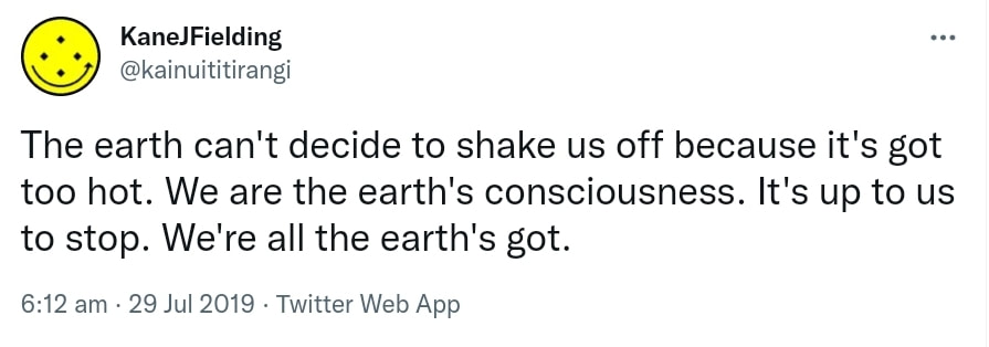 The earth can't decide to shake us off because it's got too hot. We are the earth's consciousness. It's up to us to stop. We're all the earth's got. 6:12 am · 29 Jul 2019.