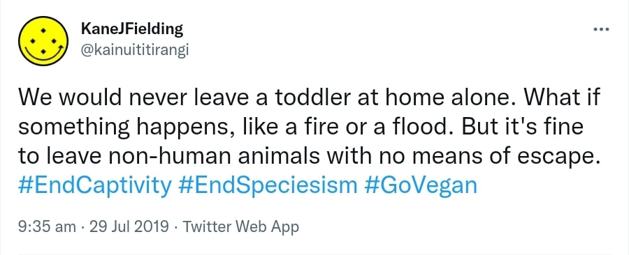 We would never leave a toddler at home alone. What if something happens, like a fire or a flood. But it's fine to leave non-human animals with no means of escape. Hashtag End Captivity. Hashtag End Speciesism. Hashtag Go Vegan. 9:35 am · 29 Jul 2019.