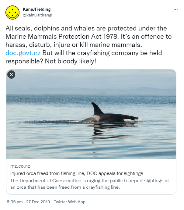 All seals, dolphins and whales are protected under the Marine Mammals Protection Act 1978. It’s an offence to harass, disturb, injure or kill marine mammals. doc.govt.nz. But will the crayfishing company be held responsible? Not bloody likely! rnz.co.nz. Injured orca freed from fishing line, DOC appeals for sightings The Department of Conservation is urging the public to report sightings of an orca that has been freed from a cray fishing line. 6:35 pm · 27 Dec 2019.
