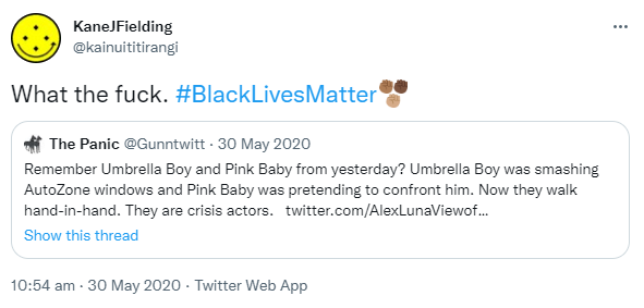 What the fuck. Hashtag Black Lives Matter. Quote Tweet. The Panic @Gunntwitt. Remember Umbrella Boy and Pink Baby from yesterday? Umbrella Boy was smashing Auto Zone windows and Pink Baby was pretending to confront him. Now they walk hand-in-hand. They are crisis actors. 10:54 am · 30 May 2020.