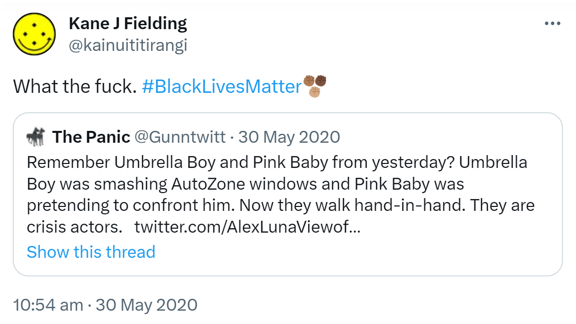 What the fuck. Hashtag Black Lives Matter. Quote Tweet. The Panic @Gunntwitt. Remember Umbrella Boy and Pink Baby from yesterday? Umbrella Boy was smashing Auto Zone windows and Pink Baby was pretending to confront him. Now they walk hand-in-hand. They are crisis actors. 10:54 am · 30 May 2020.