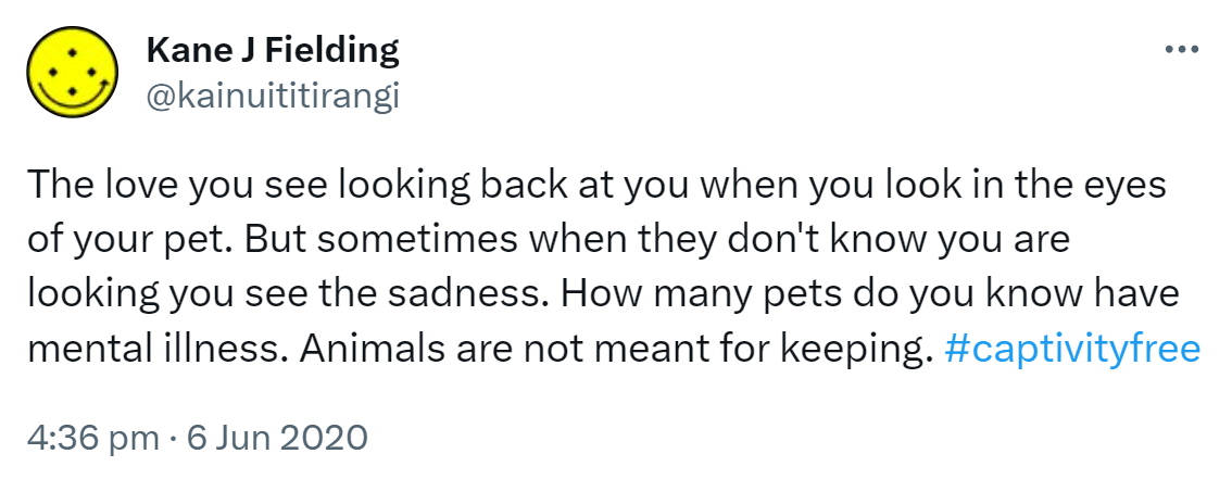 The love you see looking back at you when you look in the eyes of your pet. But sometimes when they don't know you are looking you see the sadness. How many pets do you know have mental illness? Animals are not meant for keeping. Hashtag Captivity Free. 4:36 pm · 6 Jun 2020.