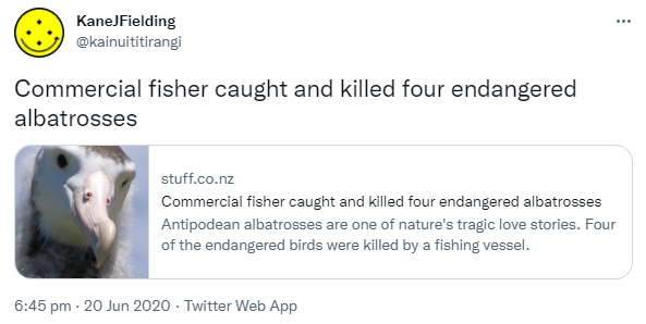 Commercial fisher caught and killed four endangered albatrosses. Stuff.co.nz. Antipodean albatrosses are one of nature's tragic love stories. Four of the endangered birds were killed by a fishing vessel. 6:45 pm · 20 Jun 2020.