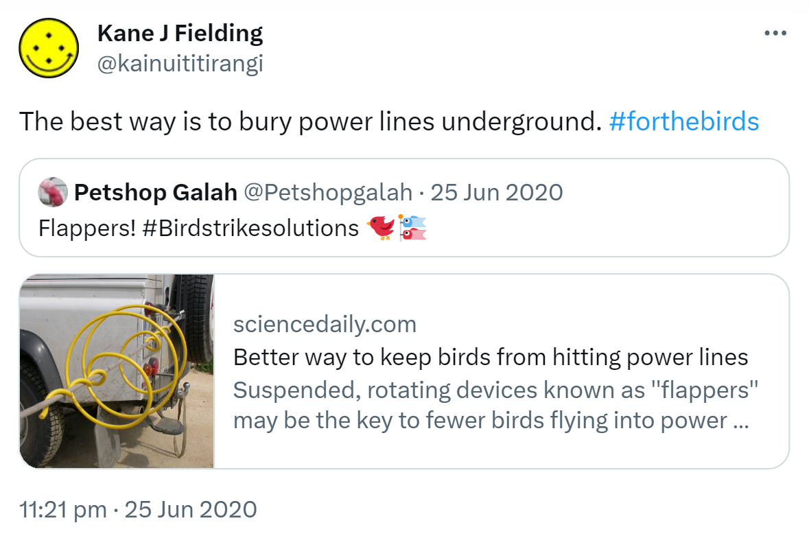 The best way is to bury power lines underground. Hashtag for the birds. Quote Tweet. Petshop Galah @Petshopgalah. Flappers! Hashtag Bird strike solutions. Sciencedaily.com. 11:21 pm · 25 Jun 2020.