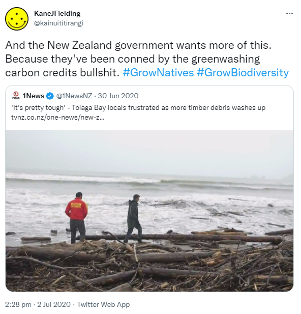 And the New Zealand government wants more of this. Because they've been conned by the greenwashing carbon credits bullshit. Hashtag Grow Natives. Hashtag Grow Biodiversity. Quote Tweet 1News @1NewsNZ. 'It's pretty tough' - Tolaga Bay locals frustrated as more timber debris washes up. Tvnz.co.nz. 2:28 pm · 2 Jul 2020.