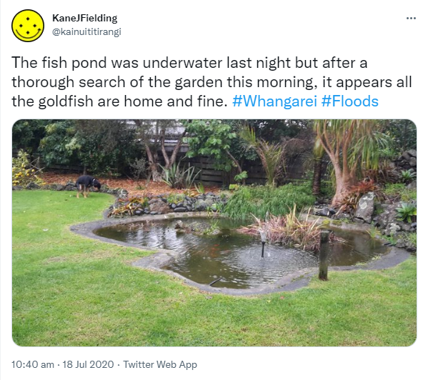The fish pond was underwater last night but after a thorough search of the garden this morning, it appears all the goldfish are home and fine. Hashtag Whangarei. Hashtag Floods. 10:40 am · 18 Jul 2020.