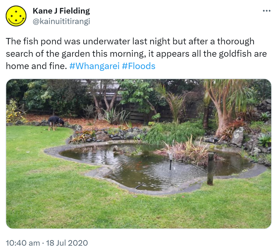 The fish pond was underwater last night but after a thorough search of the garden this morning, it appears all the goldfish are home and fine. Hashtag Whangarei. Hashtag Floods. 10:40 am · 18 Jul 2020.