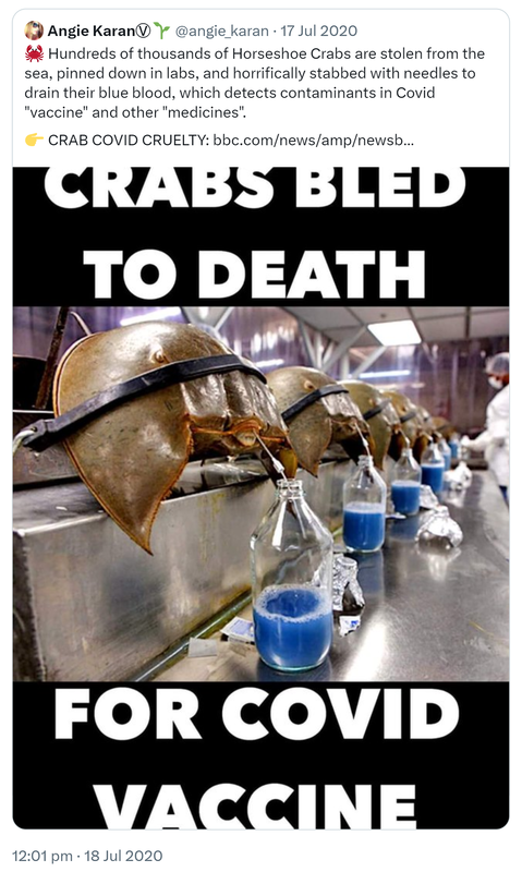 Quote Tweet. Angie Karan @angie_karan. Hundreds of thousands of Horseshoe Crabs are stolen from the sea, pinned down in labs, and horrifically stabbed with needles to drain their blue blood, which detects contaminants in Covid 'vaccine' and other 'medicines'. CRAB COVID CRUELTY. Bbc.com. 12:01 pm · 18 Jul 2020.
