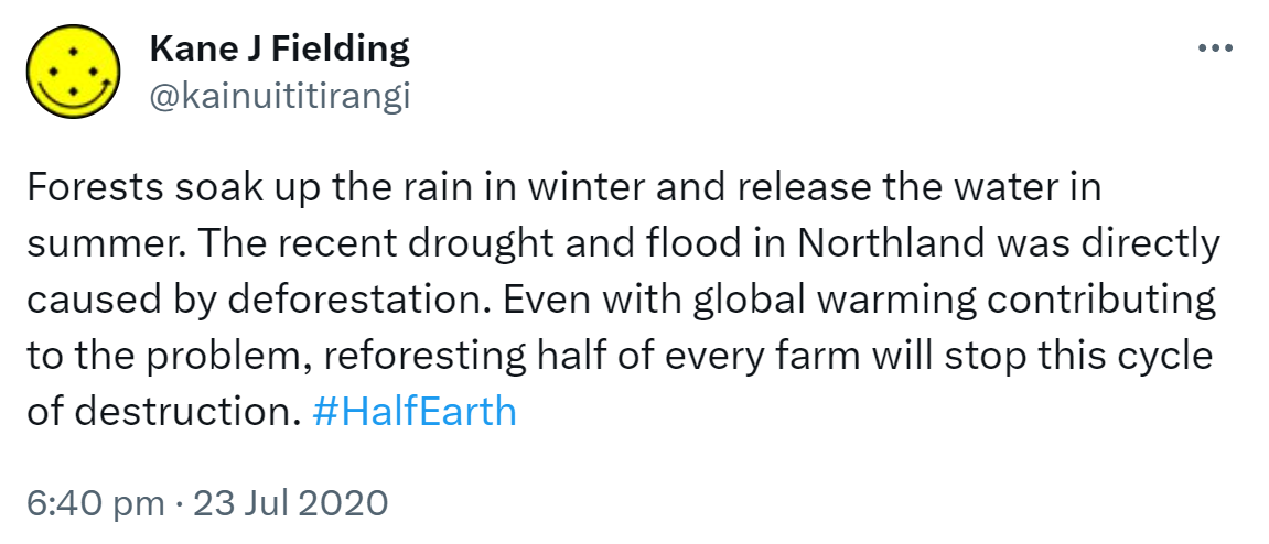 Forests soak up the rain in winter and release the water in summer. The recent drought and flood in Northland was directly caused by deforestation. Even with global warming contributing to the problem, reforesting half of every farm will stop this cycle of destruction. Hashtag Half Earth. 6:40 pm · 23 Jul 2020.