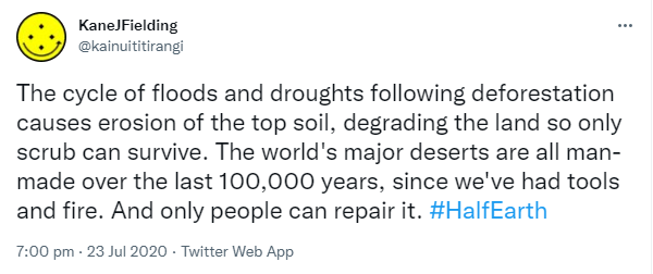 The cycle of floods and droughts following deforestation causes erosion of the topsoil, degrading the land so only scrub can survive. The world's major deserts are all man-made over the last 100,000 years, since we've had tools and fire. And only people can repair it. Hashtag Half Earth. 7:00 pm · 23 Jul 2020.
