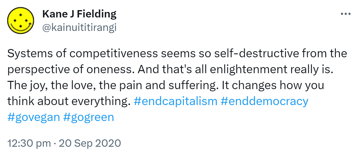 Systems of competitiveness seem so self-destructive from the perspective of oneness. And that's all enlightenment really is. The joy, the love, the pain and suffering. It changes how you think about everything. Hashtag end capitalism. Hashtag end democracy. Hashtag go vegan. Hashtag go green. 12:30 pm · 20 Sep 2020.