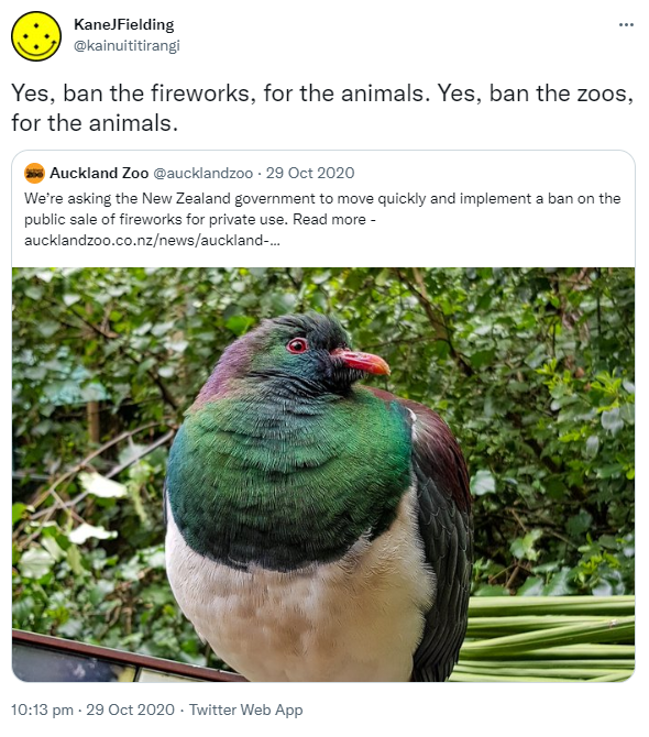 Yes, ban the fireworks, for the animals. Yes, ban the zoos, for the animals. Quote Tweet. Auckland Zoo @aucklandzoo. We’re asking the New Zealand government to move quickly and implement a ban on the public sale of fireworks for private use. Read more. Aucklandzoo.co.nz. 10:13 pm · 29 Oct 2020.