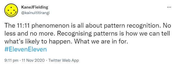 The 11:11 phenomenon is all about pattern recognition. No less and no more. Recognising patterns is how we can tell what's likely to happen. What we are in for. Hashtag Eleven Eleven. 9:11 pm · 11 Nov 2020.