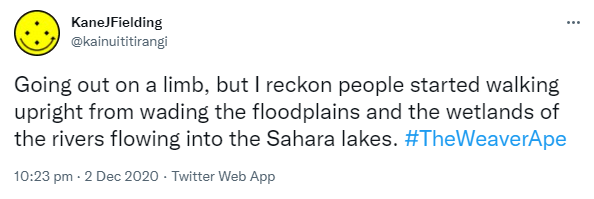 Going out on a limb, but I reckon people started walking upright from wading the floodplains and the wetlands of the rivers flowing into the Sahara lakes. Hashtag The Weaver Ape. 10:23 pm · 2 Dec 2020.