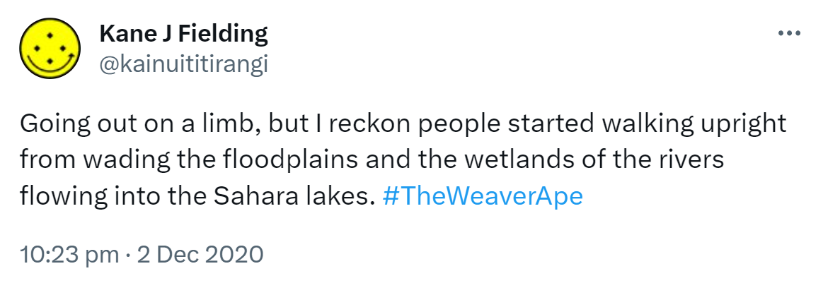 Going out on a limb, but I reckon people started walking upright from wading the floodplains and the wetlands of the rivers flowing into the Sahara lakes. Hashtag The Weaver Ape. 10:23 pm · 2 Dec 2020.